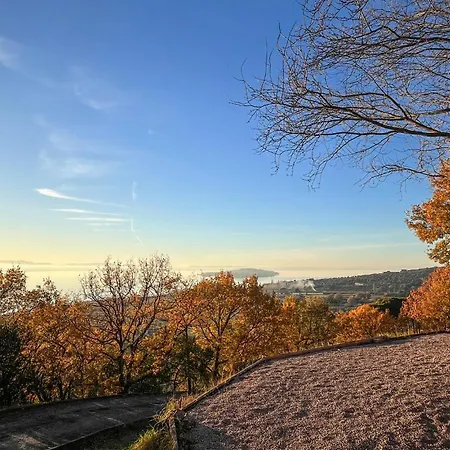 Pet Friendly In Di Magione * San Savino (Magione)